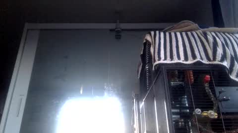 Snapshot of bigdickdangles472924 chatting on 09/19/25, 06:08 bigdickdangles472924 online show from 09/19/25, 06:08