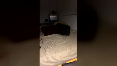 bigdickpapishampoo online show from 12/19/25, 10:00