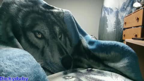 George Forest Dickyduby on all Socials online show from 09/11/25, 01:28