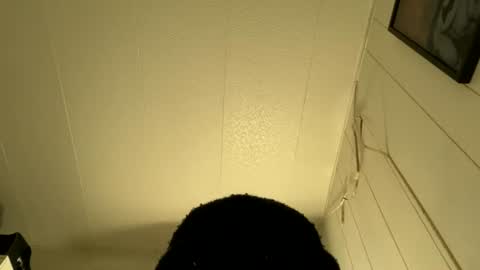 Snapshot of bigdickywn chatting on 07/05/26, 04:30 bigdickywn online show from 07/05/26, 04:30