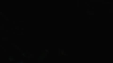 Snapshot of bigdizzyd chatting on 12/28/24, 02:33 7inchstroker online show from 12/28/24, 02:33