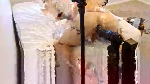 Biggape online show from 11/26/25, 06:14