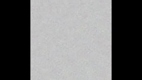 bigguynick113 online show from 12/16/24, 08:41