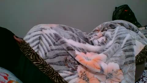 Snapshot of bighandsomesatisfy chatting on 01/06/25, 08:18 bighandsomesatisfy online show from 01/06/25, 08:18