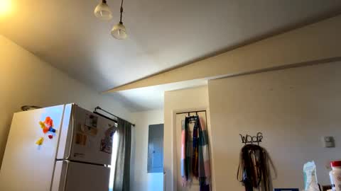 Daniel  Noelia online show from 02/27/25, 07:04