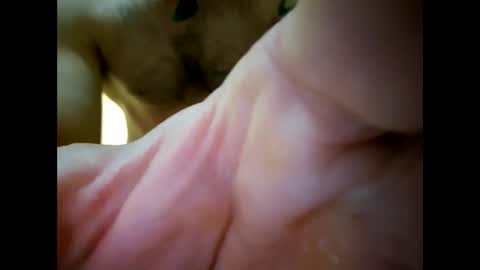 bigjoeyblow online show from 11/01/25, 06:37