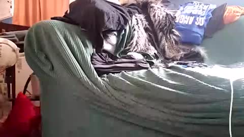 bigmanaround9 online show from 12/11/24, 08:39