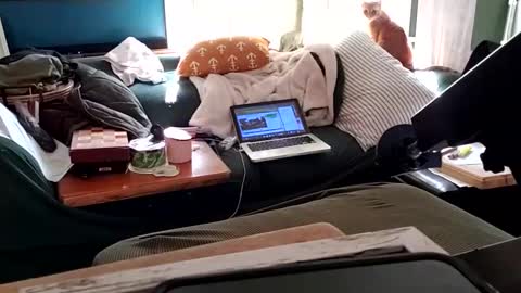 bigmanaround9 online show from 02/03/25, 09:07