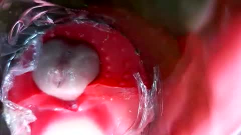 bigmoneycorey online show from 03/12/26, 07:31