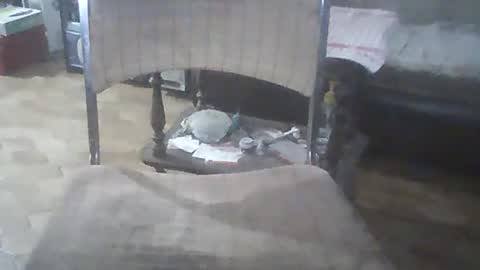 Snapshot of bigpenix chatting on 12/21/24, 03:25 bigpenix online show from 12/21/24, 03:25