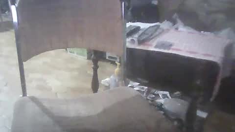 Snapshot of bigpenix chatting on 03/02/25, 03:56 bigpenix online show from 03/02/25, 03:56