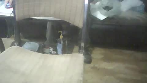 Snapshot of bigpenix chatting on 10/17/25, 02:04 bigpenix online show from 10/17/25, 02:04