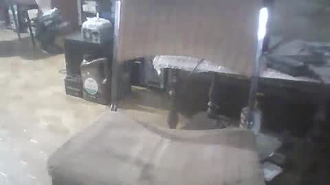 bigpenix online show from 02/15/26, 01:13