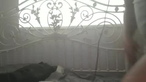 bigprdick101 online show from 02/12/25, 02:54