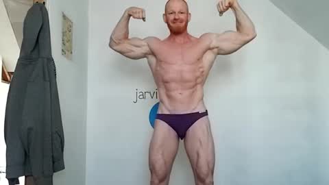 Snapshot of bigredmachine25 chatting on 12/29/24, 04:51 Jarvis online show from 12/29/24, 04:51