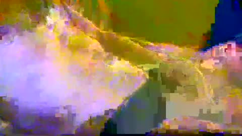 bigrig online show from 12/10/24, 12:16