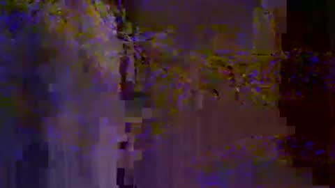 bigrig online show from 01/19/25, 02:59