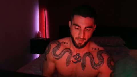 Gogo online show from 11/03/25, 04:19