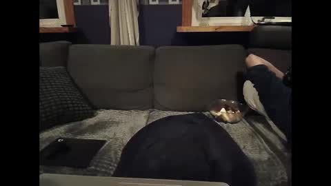 bigswe1 online show from 03/05/25, 01:52