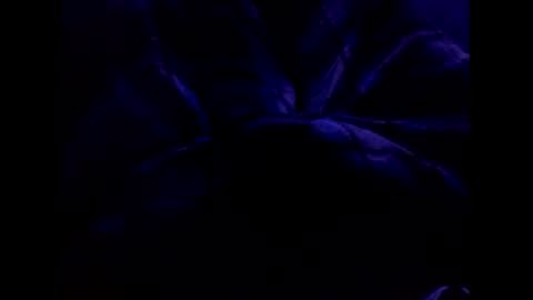 bigtgs online show from 02/17/25, 06:37