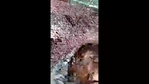 bigwalkdog420 online show from 12/25/24, 02:56