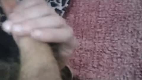 bigwalkdog420 online show from 01/26/25, 06:58