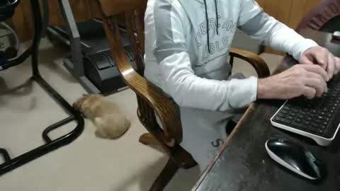 billy471 online show from 01/23/25, 10:11