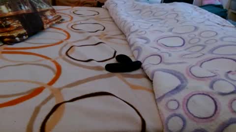 Bill online show from 03/16/26, 06:50