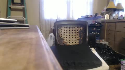 Bimbttm online show from 12/20/24, 01:00