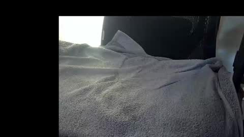 Snapshot of bislider chatting on 11/12/25, 09:10 bislider online show from 11/12/25, 09:10