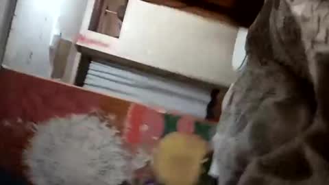 bitchassnig23401rb online show from 11/05/25, 12:05