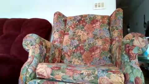Brittany Bear online show from 03/30/26, 05:58
