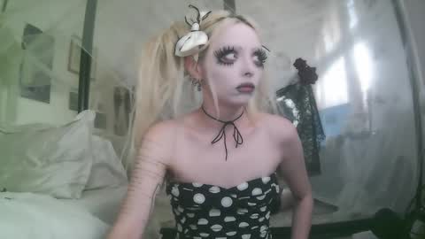 vampire fang  online show from 12/19/25, 06:26