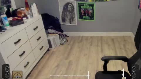 Plant Base Streamers From Pennsylvania online show from 10/17/25, 11:29