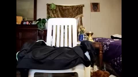 Snapshot of blacccocc4u2 chatting on 03/29/26, 12:16 blacccocc4u2 online show from 03/29/26, 12:16