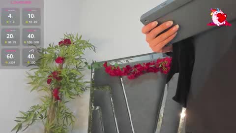 B L A C K  R O S E  online show from 02/20/25, 11:31