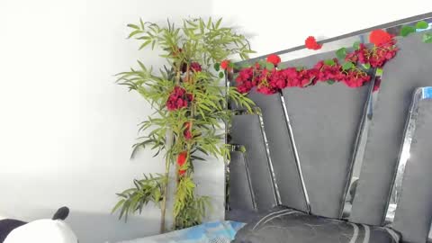 B L A C K  R O S E  online show from 03/12/25, 02:56