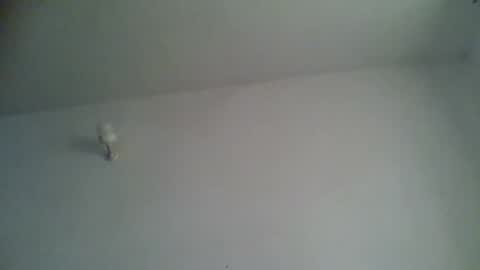 black african online show from 11/15/25, 05:27