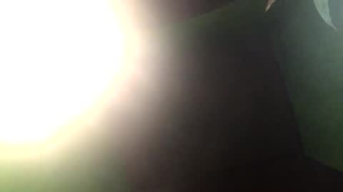 Crystal online show from 12/27/24, 01:50