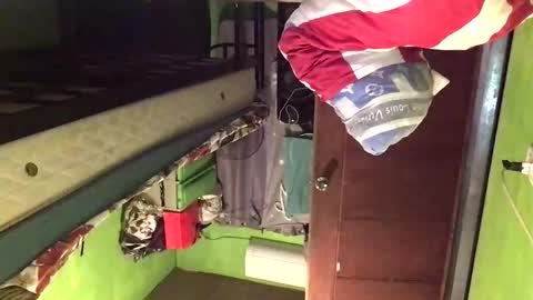 Crystal online show from 02/20/26, 02:30