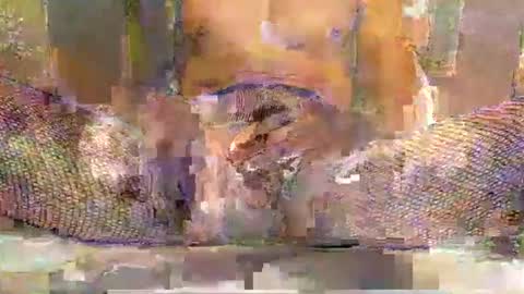 blackbigdickfr online show from 12/20/25, 12:34