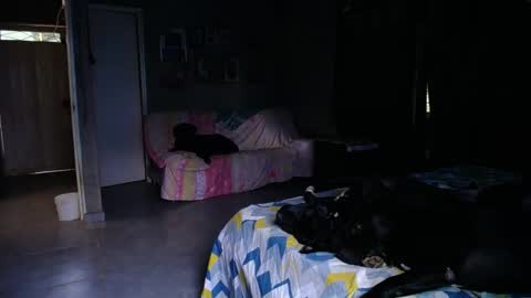 Snapshot of blackpanter_13 chatting on 04/29/26, 11:25 Black Panther online show from 04/29/26, 11:25