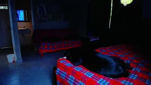 Snapshot of blackpanter_13 chatting on 05/01/26, 11:04 Black Panther online show from 05/01/26, 11:04