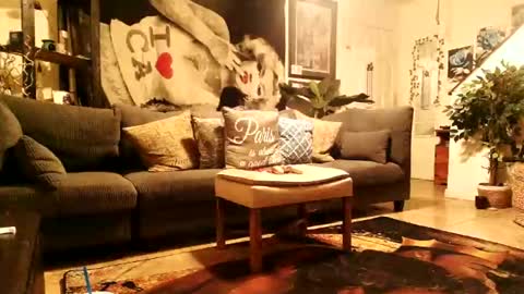 Snapshot of blackriches96 chatting on 02/14/26, 08:33 blackriches96 online show from 02/14/26, 08:33