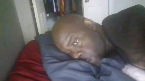 Snapshot of blackteddybear chatting on 01/19/26, 03:05 blackteddybear online show from 01/19/26, 03:05