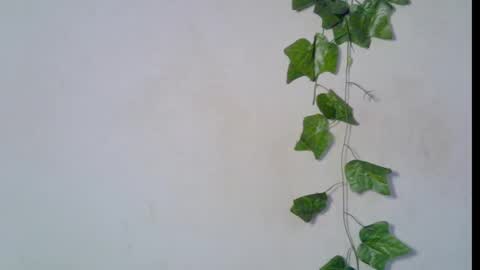 nikky00 online show from 03/08/26, 06:50