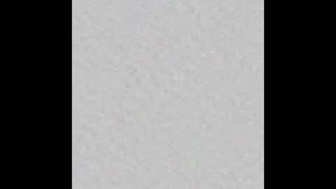 Blase Hase12 online show from 10/28/25, 08:33