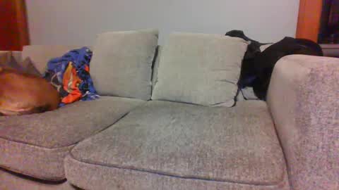 blaw_1321 online show from 10/04/25, 06:22