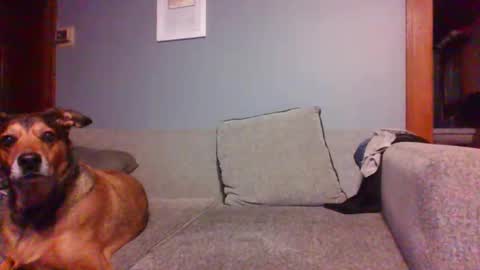 blaw_1321 online show from 10/16/25, 07:20