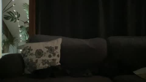 Snapshot of bllyidol chatting on 12/18/25, 09:04 BlIdoL online show from 12/18/25, 09:04